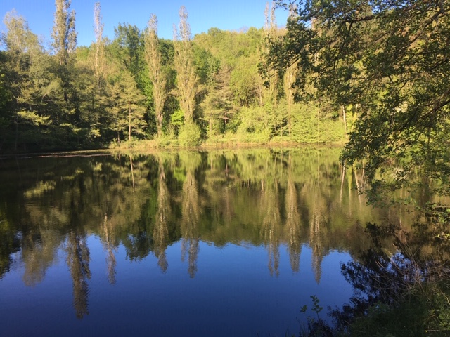 Lac privatif du Domaine de La Planésié, eau immobile et reflets des arbres, cadre d'une retraite en silence dans le Tarn